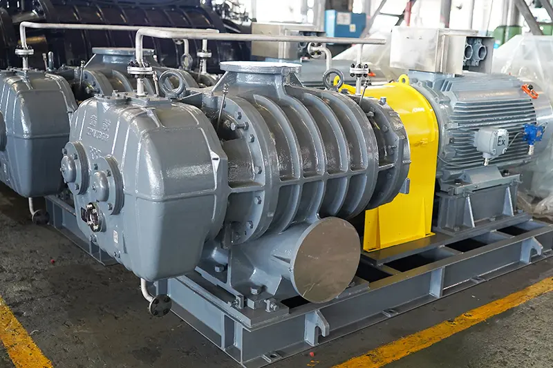 RR-Series-Roots-Blower-&-Vacuum-Pump-–-Versatile,-Durable,-and-Precisely-Engineered-4