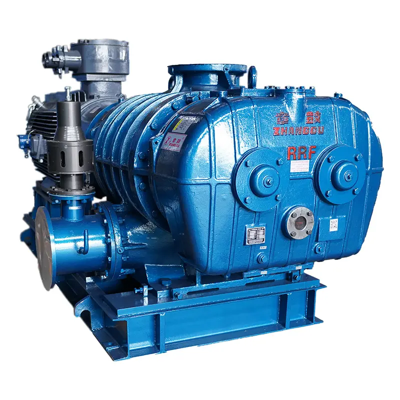 RR Series Roots Blower & Vacuum Pump – Versatile, Durable, and Precisely Engineered (1).jpg