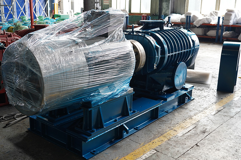RR-Series-Roots-Blower-&-Vacuum-Pump-–-Versatile,-Durable,-and-Precisely-Engineered-9