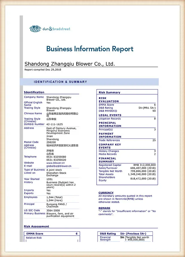 Dun&Bradstreet-Business-Information-Report