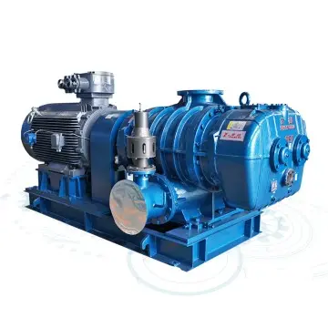 RR Series Roots Blower & Vacuum Pump – Versatile, Durable, and Precisely Engineered