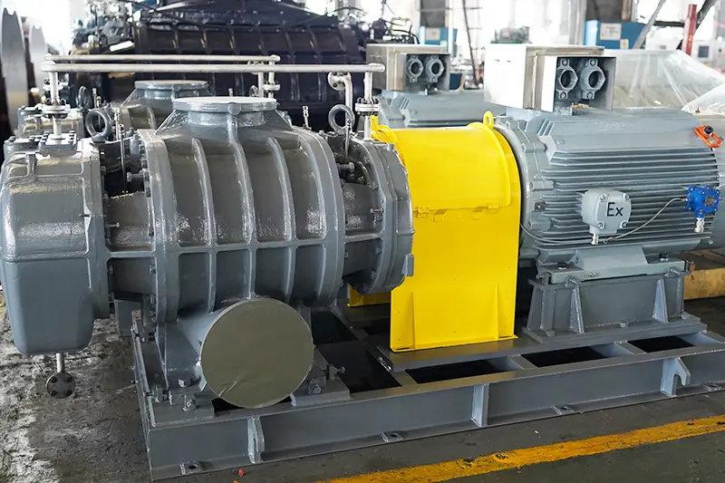 RR-Series-Roots-Blower-&-Vacuum-Pump-–-Versatile,-Durable,-and-Precisely-Engineered-5jpg